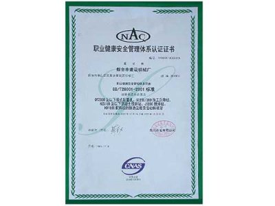 職業(yè)健康安全管理體系認(rèn)證證書(shū)